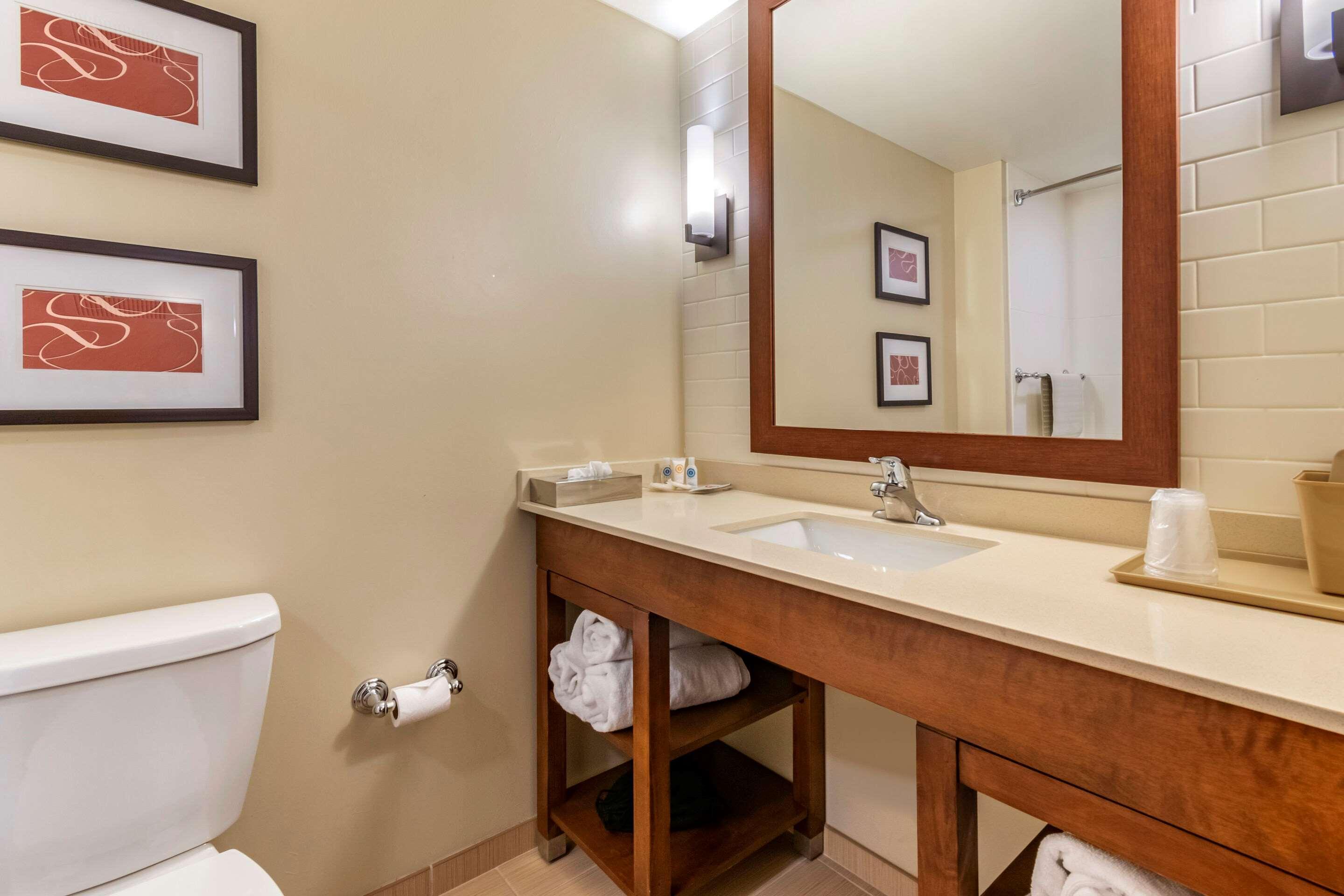 Comfort Suites Manheim - Lancaster Εξωτερικό φωτογραφία