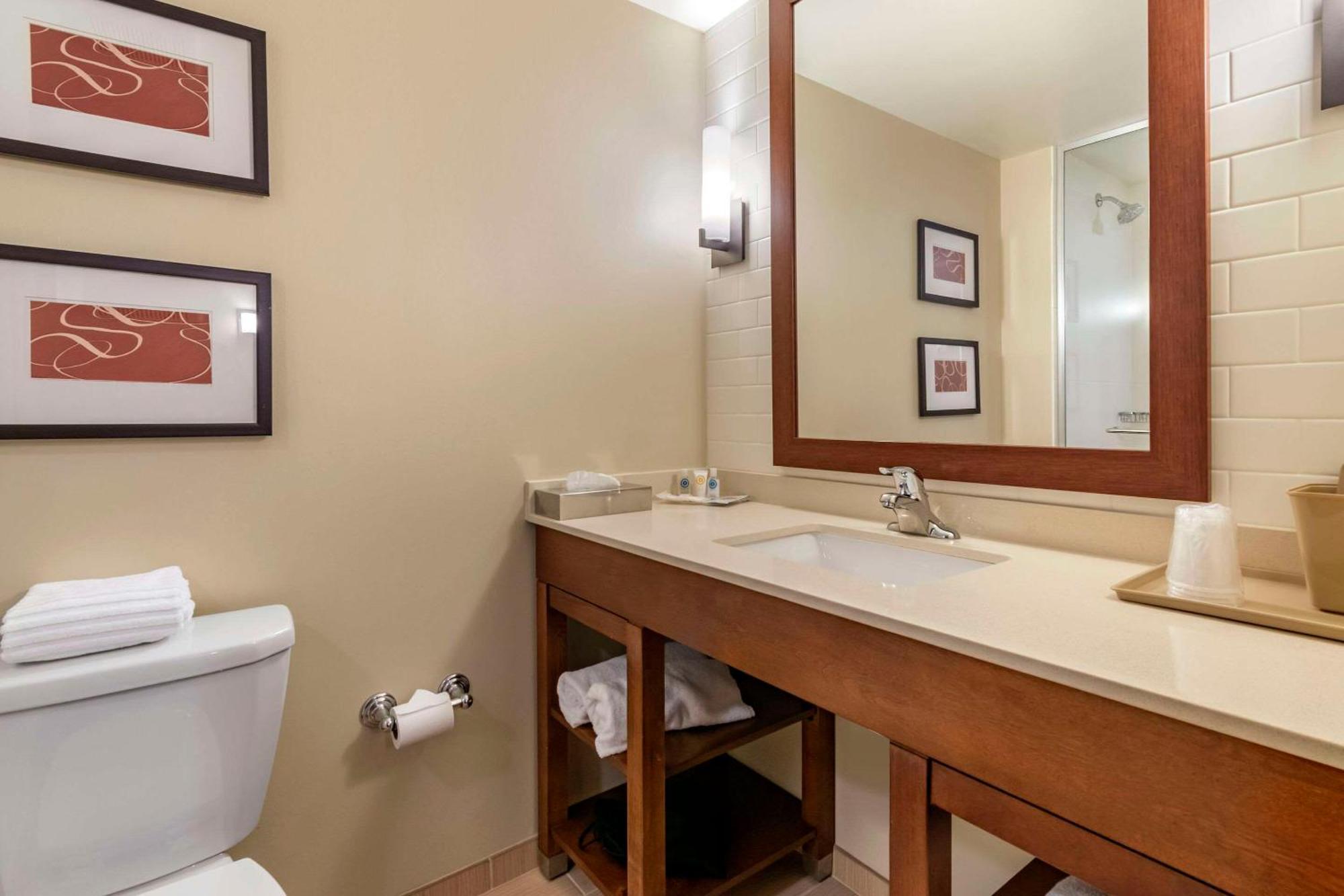 Comfort Suites Manheim - Lancaster Εξωτερικό φωτογραφία